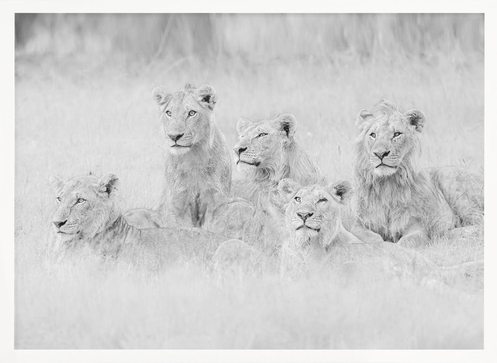 Brothers in A Little Rain Poster